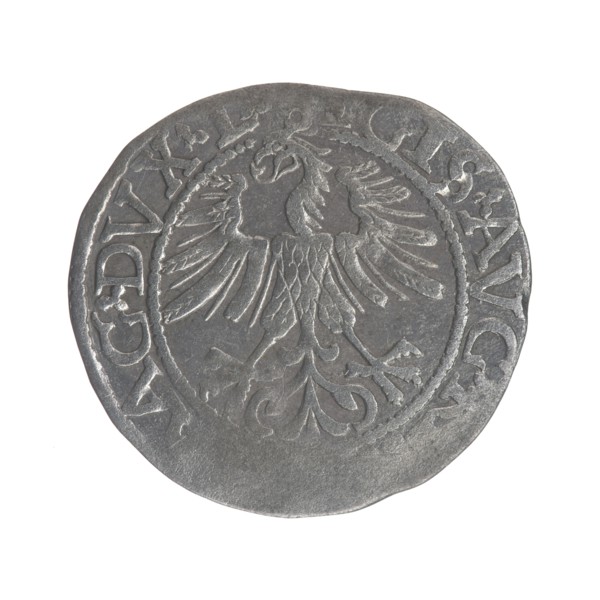 Lithuanian half-grosz, Sigismund II Augustus King of Poland; 1544–1572. Obverse: Polish Eagle; in