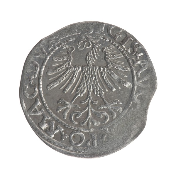 Lithuanian half-grosz, Sigismund II Augustus King of Poland; 1544–1572. Obverse: Polish eagle; in