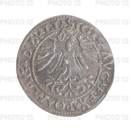 Lithuanian half-grosz, Sigismund II Augustus King of Poland; 1544–1572 ; Tarlo, Gabriel ca.