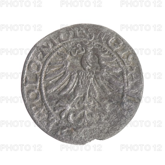 Lithuanian half-grosz, Sigismund II Augustus King of Poland; 1544–1572. Maker/co-creator: Tarlo,