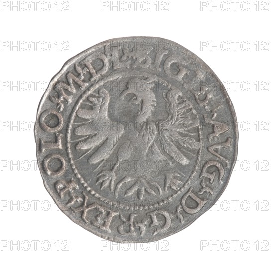 Lithuanian half-grosz, Sigismund II Augustus King of Poland; 1544–1572 ; Myszkowski, Stanislaw