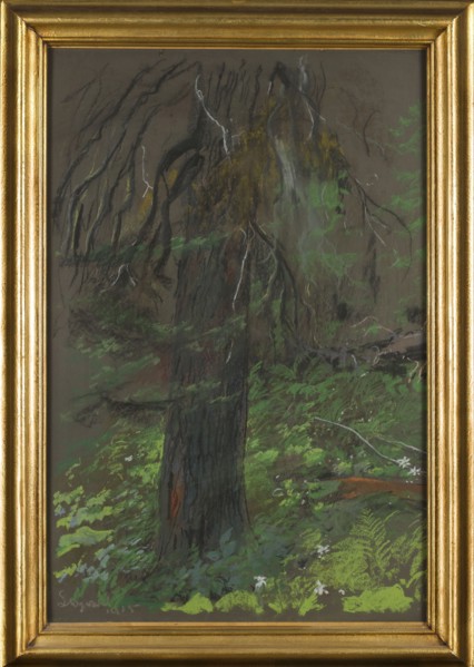 Wyczólkowski, Leon 1852–1936, painter. Title/subject: forests, spruces, trees. Date: 1915. Medium:
