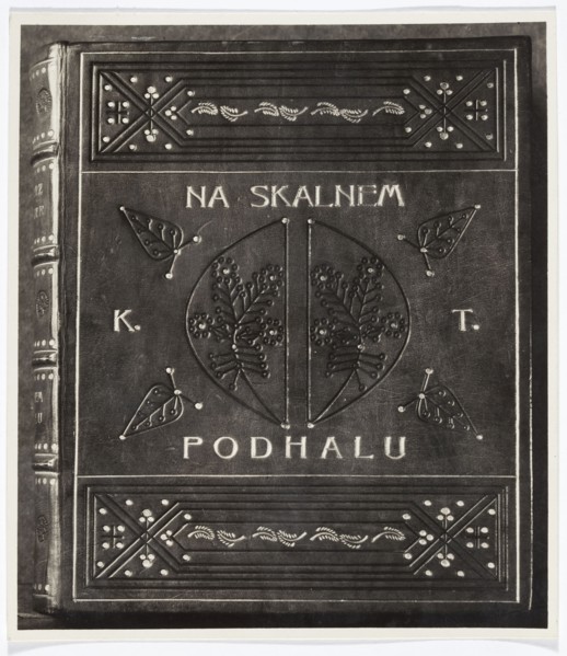 Book binding: Kazimierz Tetmajer, Na skalnem Podhalu. Photo REP. Exhibited at the International