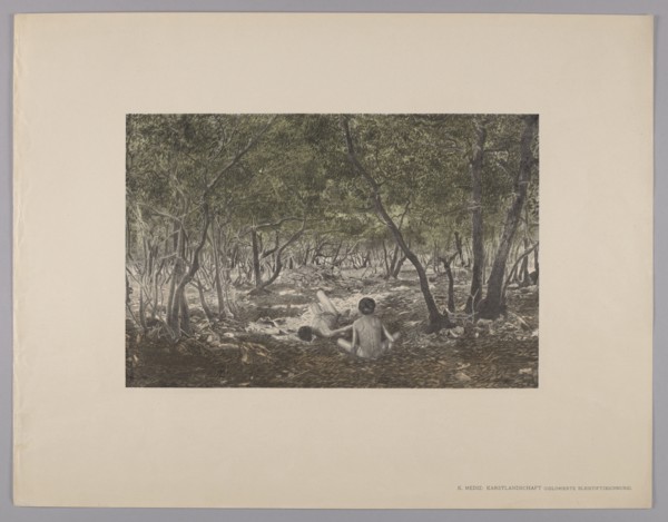 Karst Landscape; Ernst Arnold maker, 1895; engraved by Karl Mediz 1868–1945; published by Wilhelm