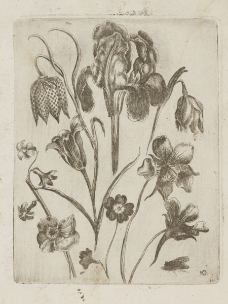 Floral arrangement; Tobias Frankenberger 1627–1664, engraver; flowers; German; Strasbourg, Alsace;
