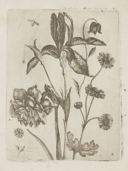Floral arrangement, Tobias Frankenberger 1627–1664; young, engraver/author; German; flowers;