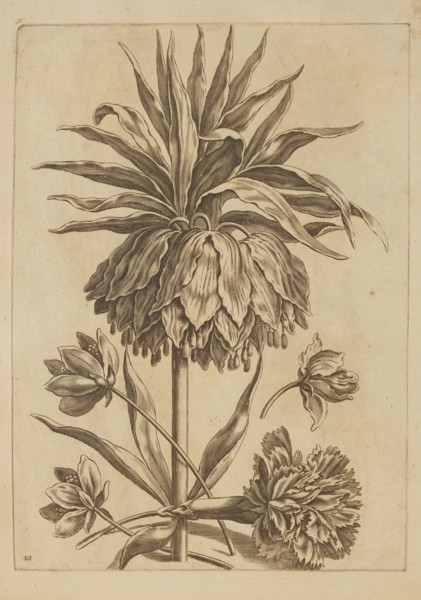 Flower arrangement; Jeremias Falck ca. 1609–1677, engraver; Frederik de Wit ca. 1630–1706, younger,