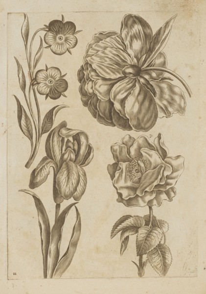 Floral composition; Frederik de Wit ca. 1630–1706 young; engraved by Jeremias Falck ca. 1609–1677;