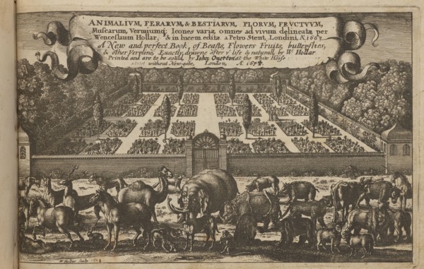 Title page: Trophées d'Armes antique et moderne, servant a toutes sortes d'ouvriers, pour