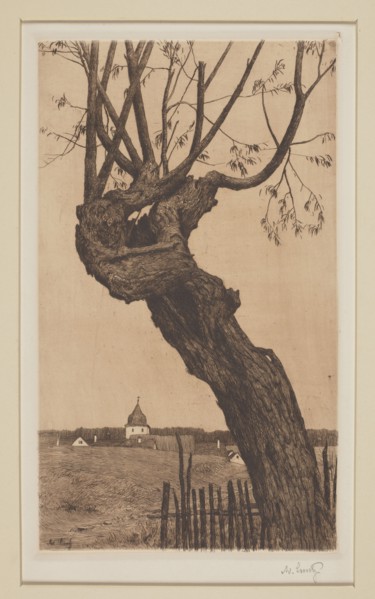 Alte Weide, Luntz, Adolf 1875–1934 graphic artist / author; trees, willows; graphic art; old age;