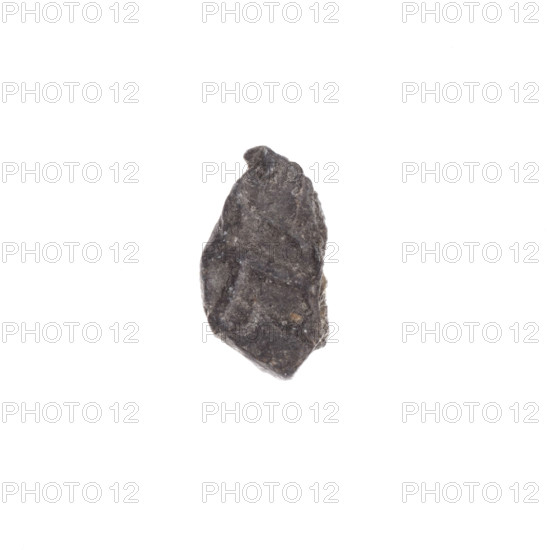 Fragment of a double-sided Drohiczyn seal. On one side an eagle with its head turned to the right;
