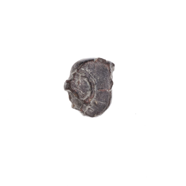 Fragment of a double-sided Drohiczyn seal. On one side a cross with one arm ending in a triangle
