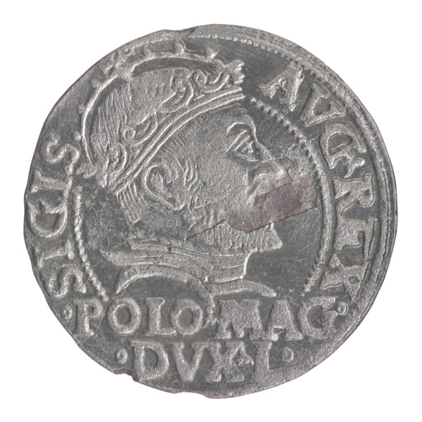 Lithuanian grosz on a Polish foot, Sigismund II Augustus (King of Poland; 1544–1572), Jagiellon