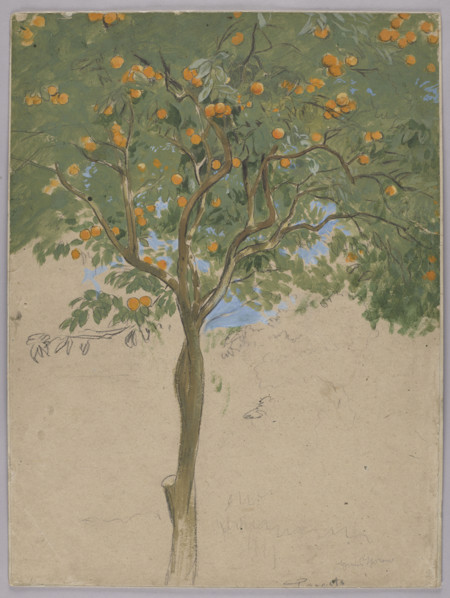 Orange tree; Hans Thoma (1839–1924), draughtsman; former German property; German drawing; Sorrento