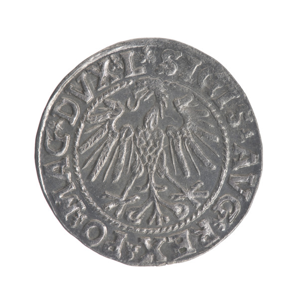 Lithuanian half-grosz, Sigismund II Augustus (King of Poland; 1544–1572), good condition, R3
