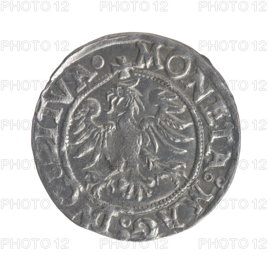 Lithuanian half-grosz, Sigismund II Augustus (King of Poland; 1544–1572), good condition; obverse: