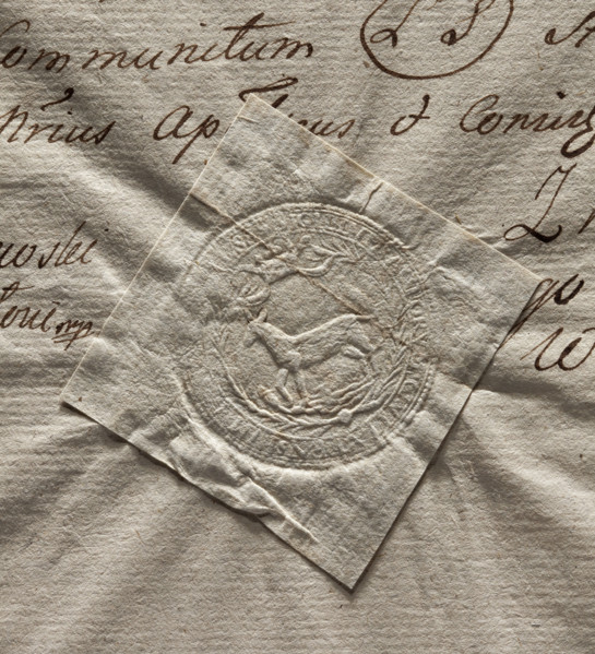 Round seal impression of the town of Losice. Under the crown in a rim of palm branches, a female