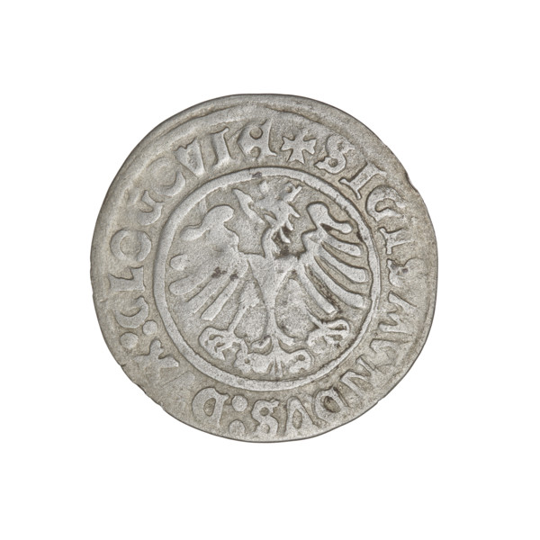 Glogów grosz, Sigismund I the Old (King of Poland; 1506–1548). Coin (weight 1.86 g), 1506, Glogów,