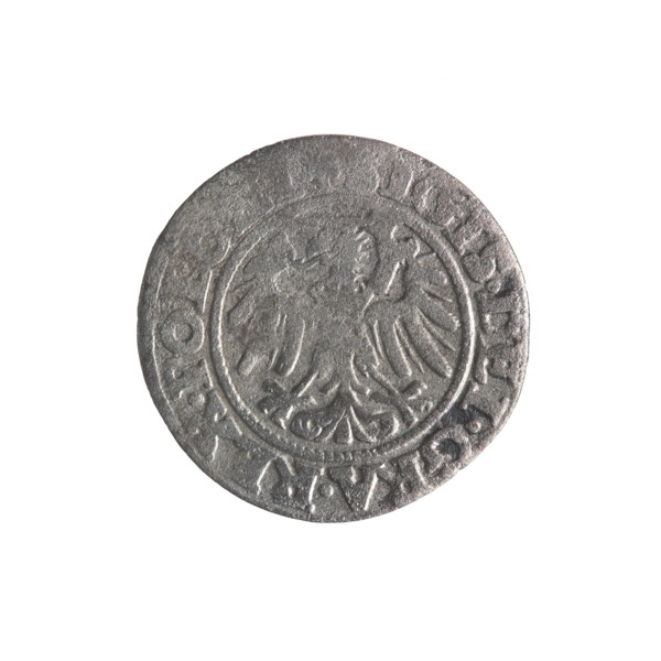 Gdansk szelag, Sigismund I the Old (King of Poland; 1506–1548); 1546; obverse: Eagle of Royal