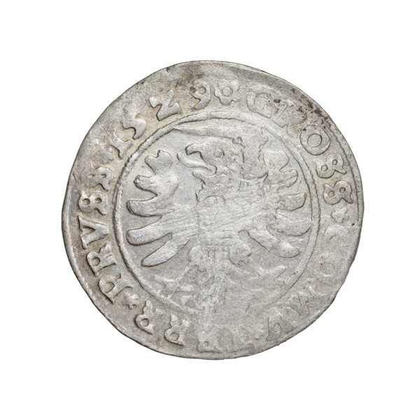 Prussian grosz, 1529, Torun, Poland. Obverse: crowned male bust in profile turned to the right; in