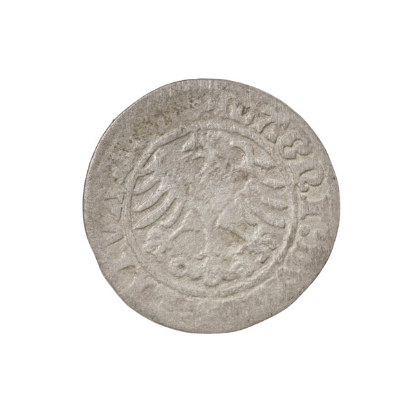 Lithuanian half-grosz, Sigismund I the Old (King of Poland; 1506–1548). Obverse: Pogon turned left;