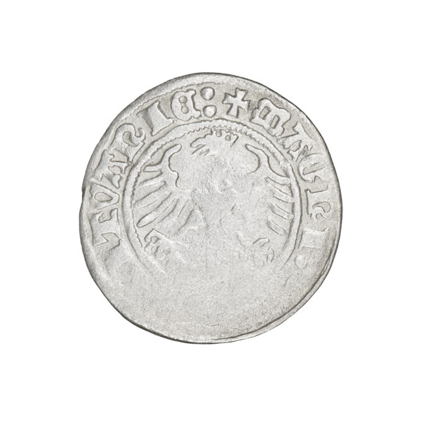 Lithuanian half-grosz, Sigismund I the Old (King of Poland; 1506–1548). Obverse: Pogon (Lithuanian