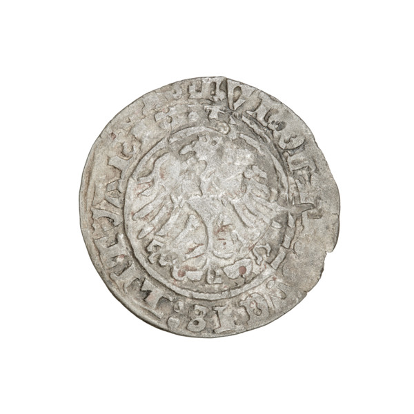 Lithuanian half-grosz, Sigismund I the Old (King of Poland; 1506–1548). Obverse: Pogon (Lithuanian