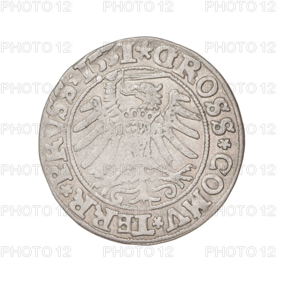 Prussian grosz, Sigismund I the Old (King of Poland; 1506–1548); 1531. Obverse: Crowned male bust