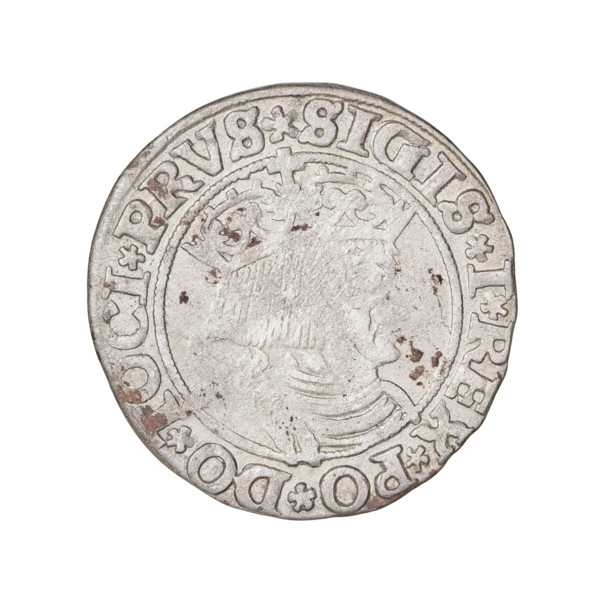 Prussian grosz, Sigismund I the Old (King of Poland; 1506–1548). Obverse: Crowned male bust in