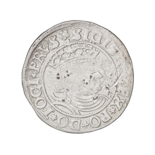 Prussian grosz, Sigismund I the Old (King of Poland; 1506–1548); obverse: crowned male bust in