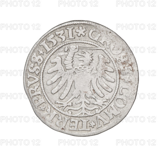 Prussian grosz, Sigismund I the Old (King of Poland; 1506–1548). Obverse: Crowned male bust in