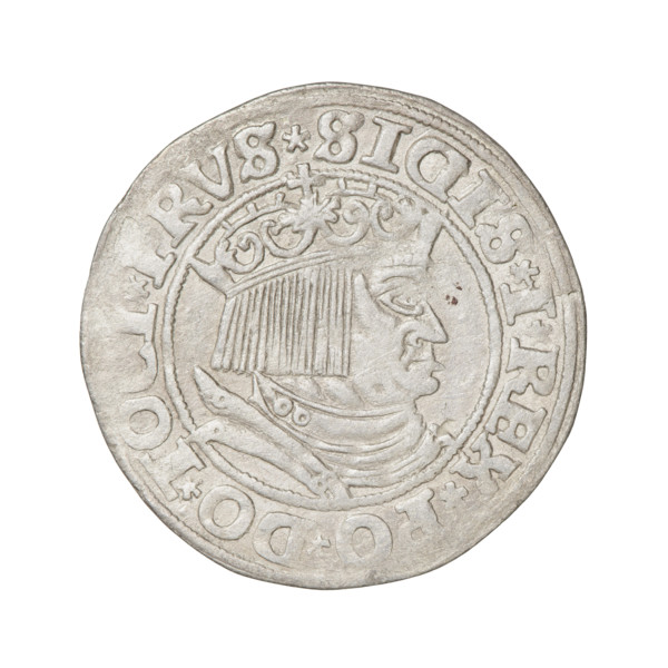 Prussian grosz, Sigismund I the Old (King of Poland; 1506–1548). Obverse: Crowned male bust in