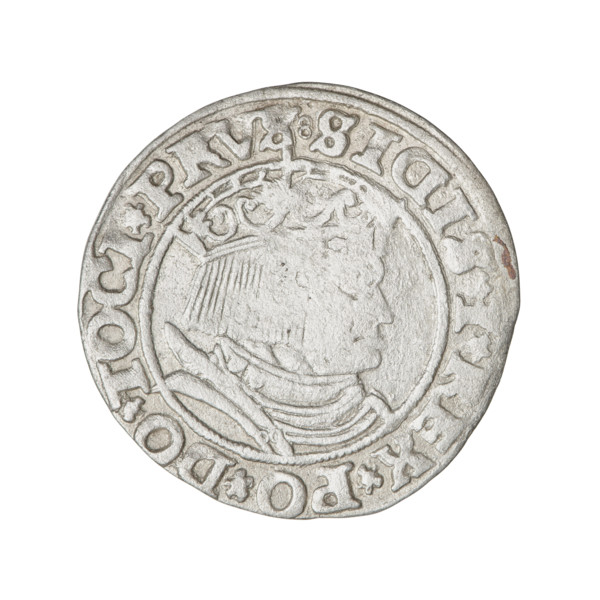 Prussian grosz, Sigismund I the Old (King of Poland; 1506–1548). Obverse: crowned male bust in