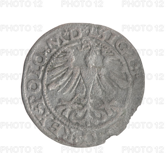 Lithuanian half-grosz, Sigismund II Augustus (King of Poland; 1544–1572). Obverse: Polish eagle; in