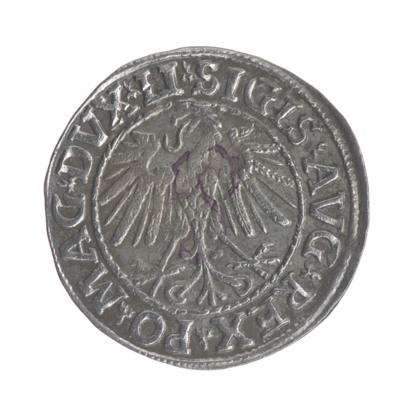 Lithuanian half-grosz, Sigismund II Augustus (King of Poland; 1544–1572). Obv.: Polish Eagle; in