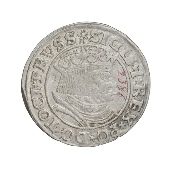 Prussian grosz, Sigismund I the Old (King of Poland; 1506–1548). Obverse: Crowned male bust in