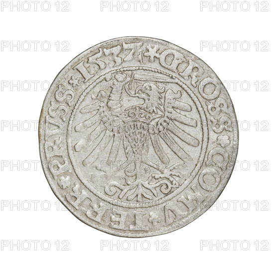 Prussian grosz of Sigismund I the Old (King of Poland; 1506–1548). Obverse: Crowned male bust in