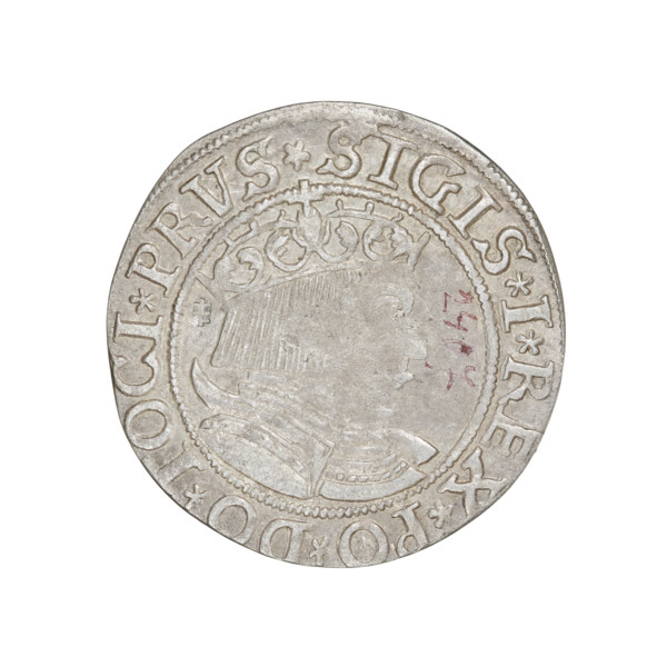 Prussian grosz, Sigismund I the Old (King of Poland; 1506–1548). Obverse: Crowned male bust in