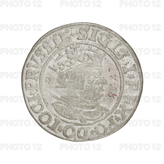 Prussian grosz, Sigismund I the Old (King of Poland; 1506–1548). Obverse: crowned male bust in