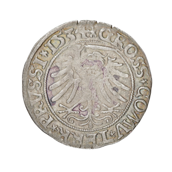 Prussian grosz, Sigismund I the Old (King of Poland; 1506–1548). Obverse: Crowned male bust in