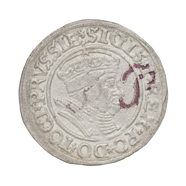 Prussian grosz, Sigismund I the Old (King of Poland; 1506–1548). Obverse: crowned male bust in