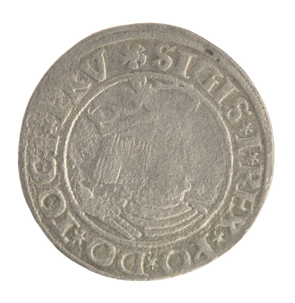 Gdansk grosz, Sigismund I the Old (King of Poland; 1506–1548). Obv.: Crowned male bust in profile