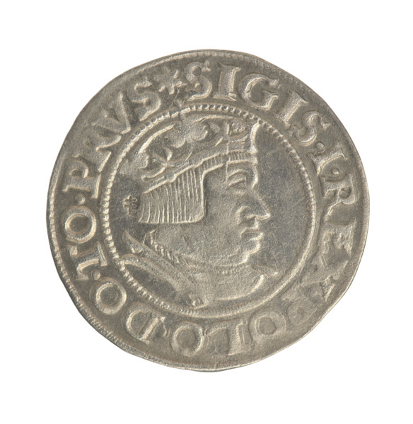 Gdansk grosz, Sigismund I the Old (King of Poland; 1506–1548). Obverse: Crowned male bust in