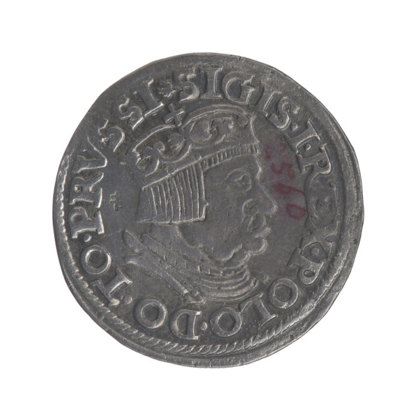 Gdansk trojak, Sigismund I the Old (King of Poland; 1506–1548). Jagiellonians dynasty. Obverse: