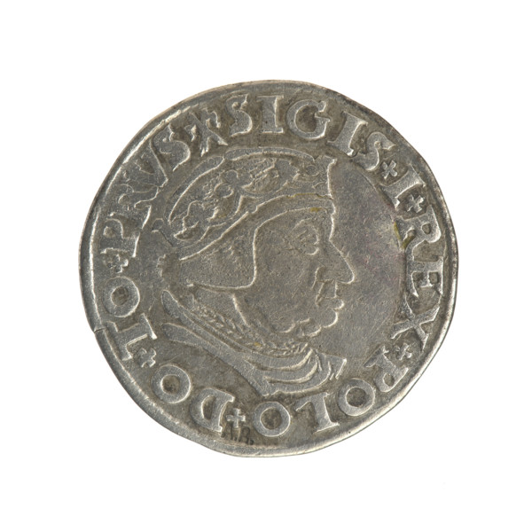 Gdansk trojak, Sigismund I the Old (King of Poland; 1506–1548). Obverse: Crowned male bust in