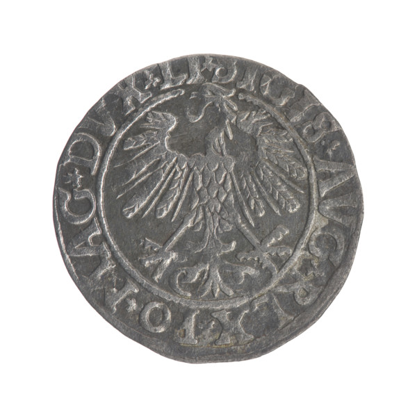 Lithuanian half-grosz, Sigismund II Augustus (King of Poland; 1544–1572). Obverse: Polish eagle; in