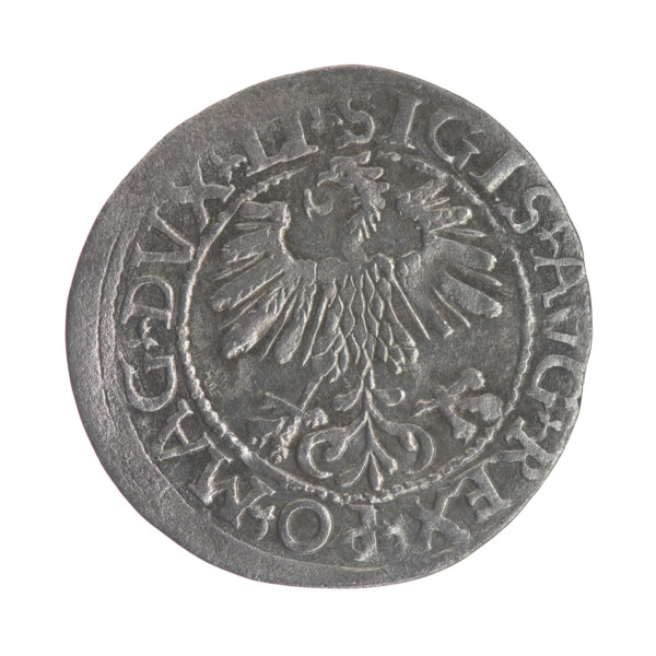 Lithuanian half-grosz, Sigismund II Augustus (King of Poland; 1544–1572). Obv.: Polish Eagle; in