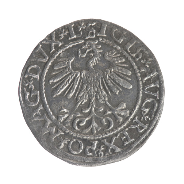 Lithuanian half-grosz, Sigismund II Augustus (King of Poland; 1544–1572). Obverse: Polish Eagle; in