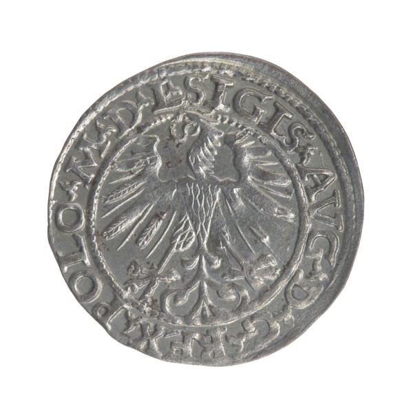 Lithuanian half-grosz, Sigismund II Augustus (King of Poland; 1544–1572). Obverse: Polish Eagle;