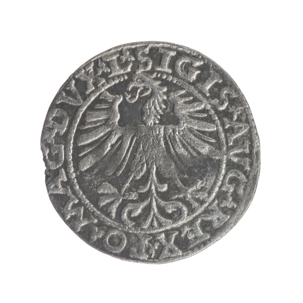 Lithuanian half-grosz, Sigismund II Augustus (King of Poland; 1544–1572). Obverse: Polish eagle; in